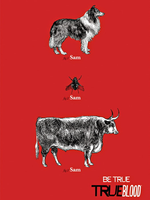 Be True Forms of Sam Awesome True Blood TV Series Wall Art Print Poster