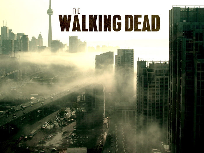 Abandoned City Highway Cars The Walking Dead TV Series Wall Art Print Poster