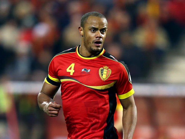 Vincent Kompany Belgium 2014 FIFA World Cup Brazil Wall Art Print Poster