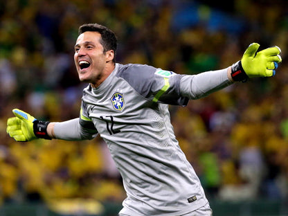 Julio Cesar Goal Celebration Colombia World Cup Brazil Wall Art Print Poster