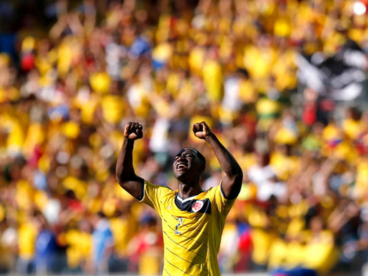 Christian Zapata Colombia Greece FIFA World Cup Brazil Wall Art Print Poster