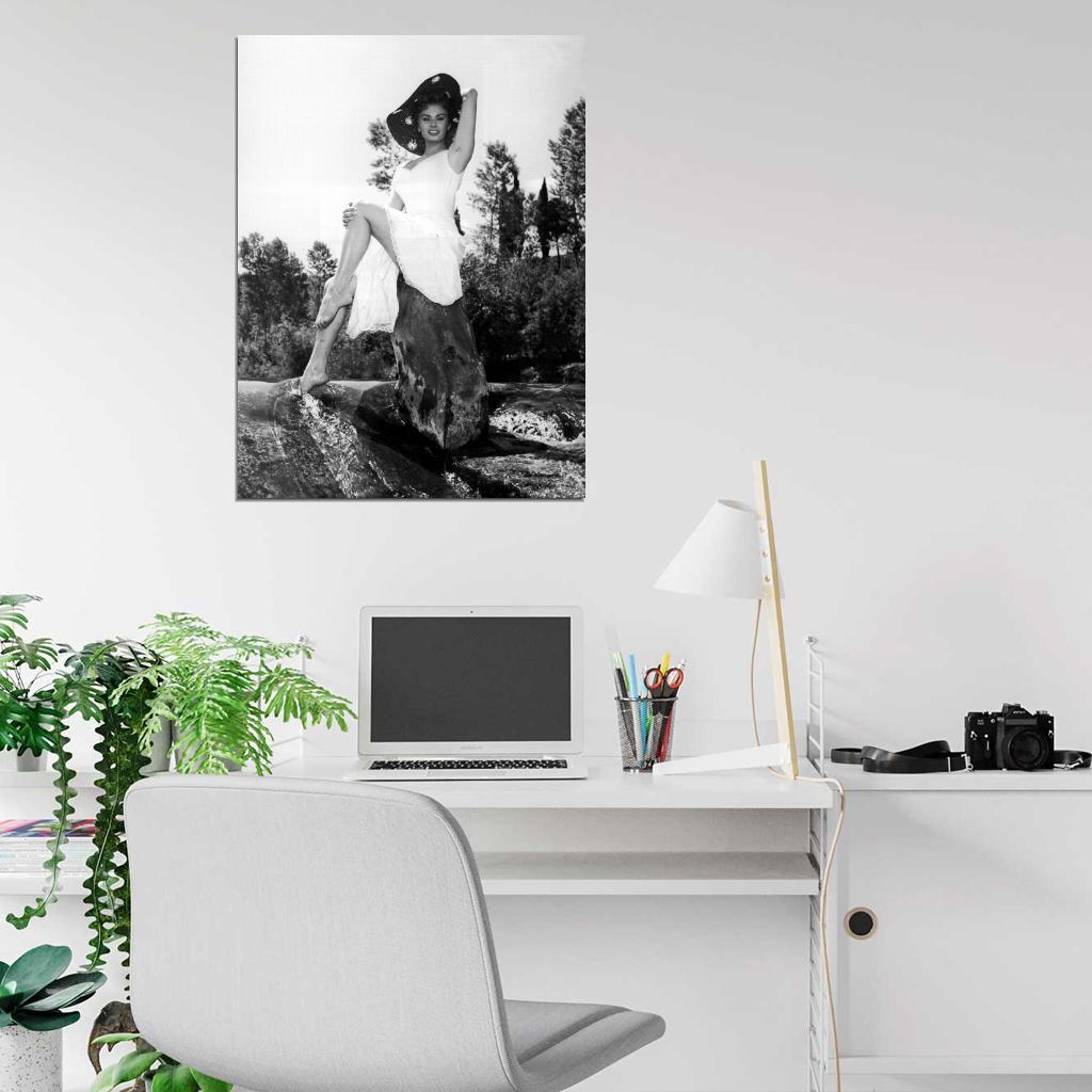 Sophia Loren Dress Legs Feet Hot Sexy Beautiful Rare Wall Art Print Poster