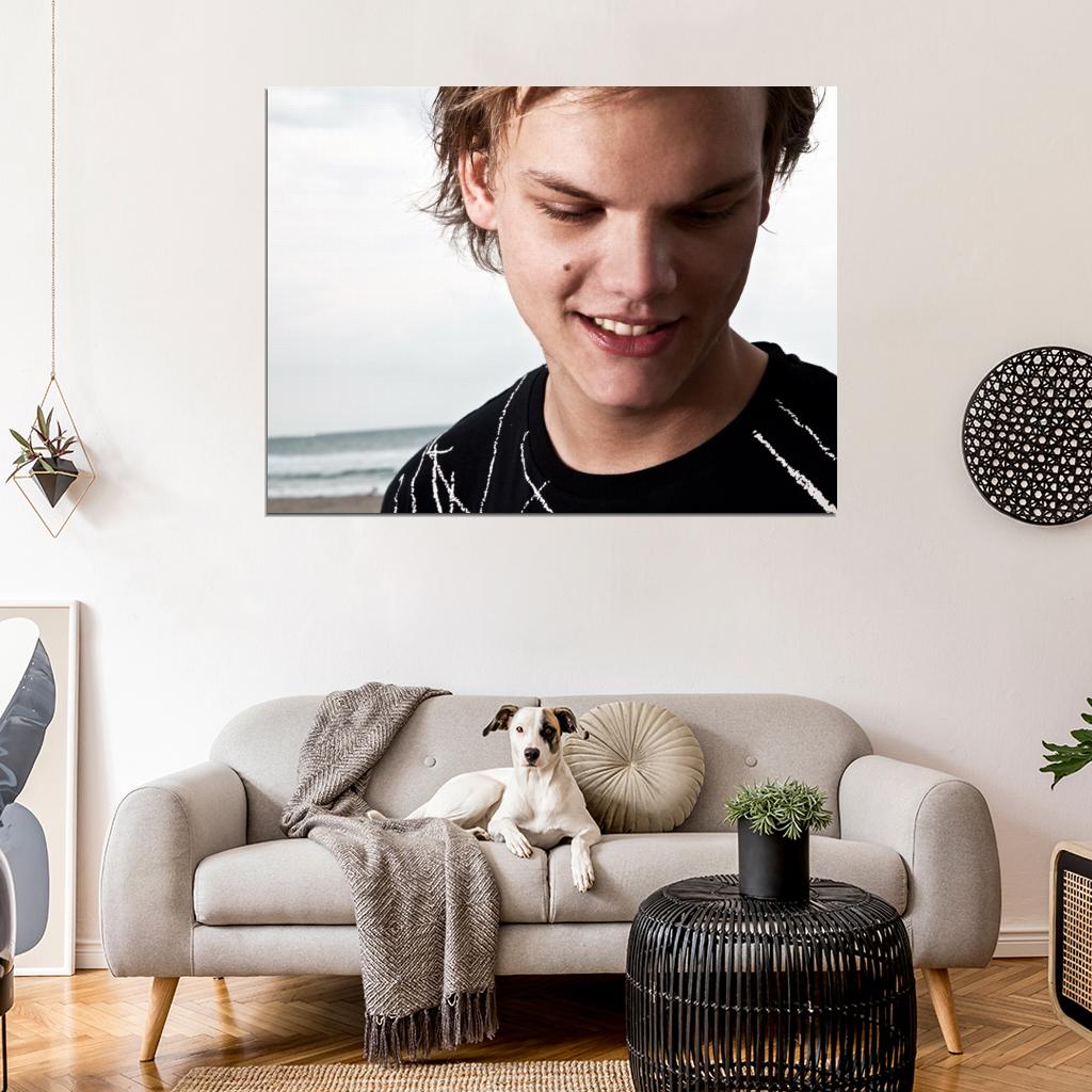 Avicii Amazing Portrait Electronic Dance Music EDM DJ Wall Art Print Poster
