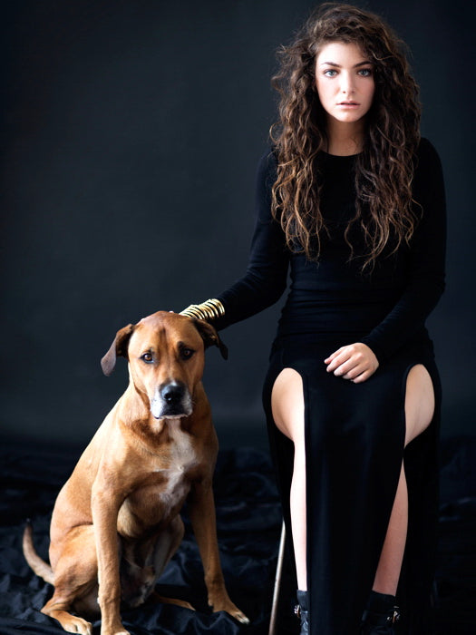 Lorde Amazing Dress Dog Beautiful Music Artist Singer Wall Art Print Poster