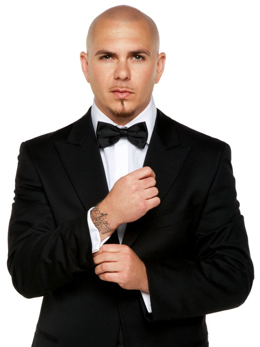 Pitbull Amazing Portrait Bowtie Music Artist Singer Wall Art Print Poster