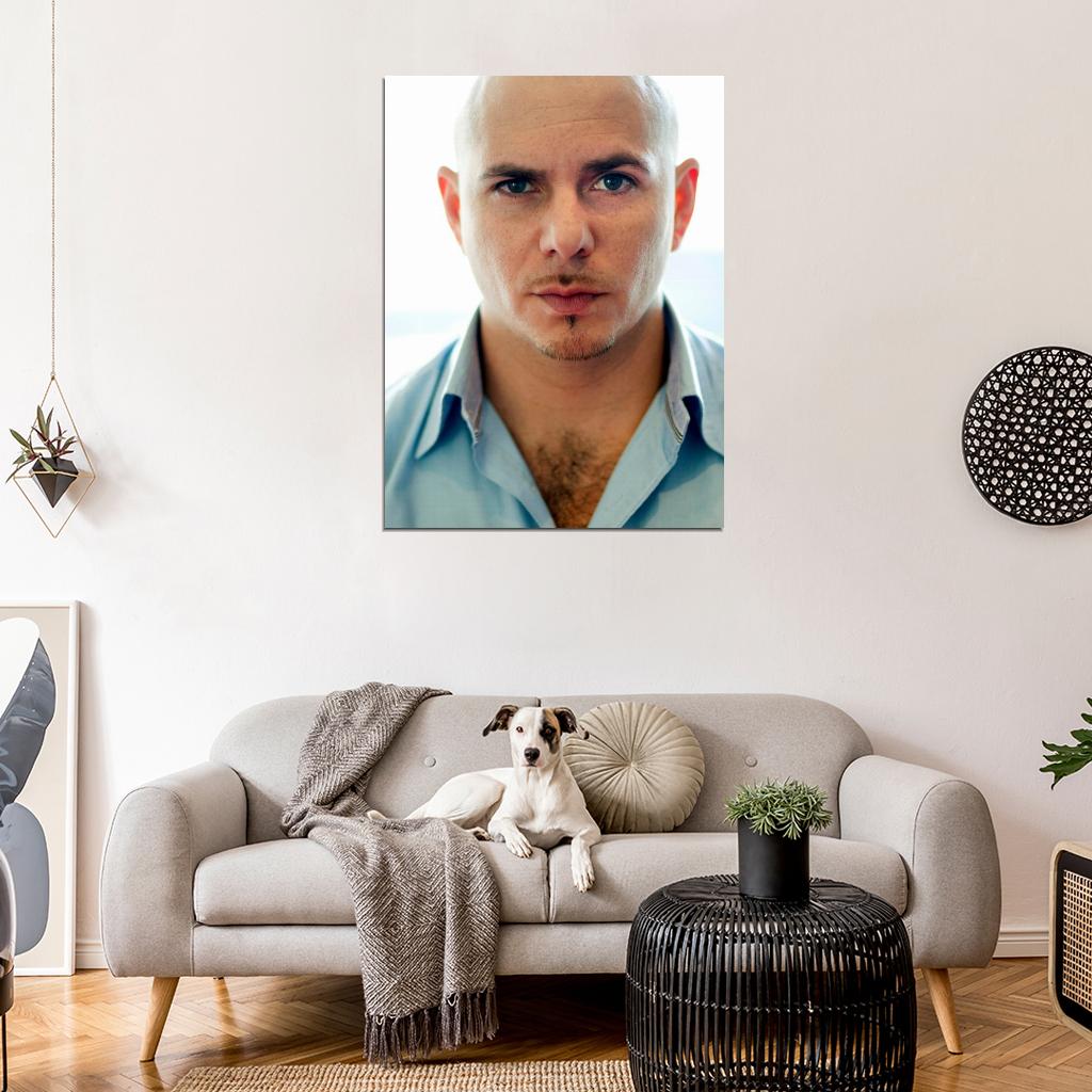 Pitbull Incredible Handsome Music Artist Singer Wall Art Print Poster