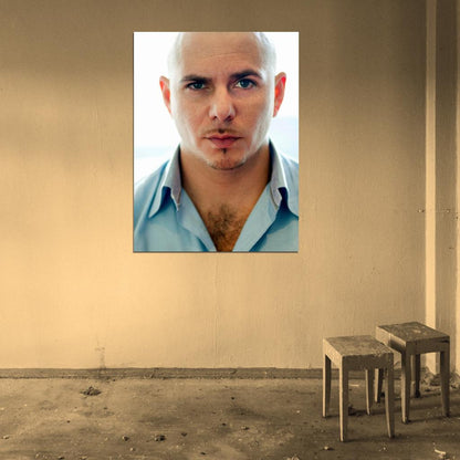 Pitbull Incredible Handsome Music Artist Singer Wall Art Print Poster