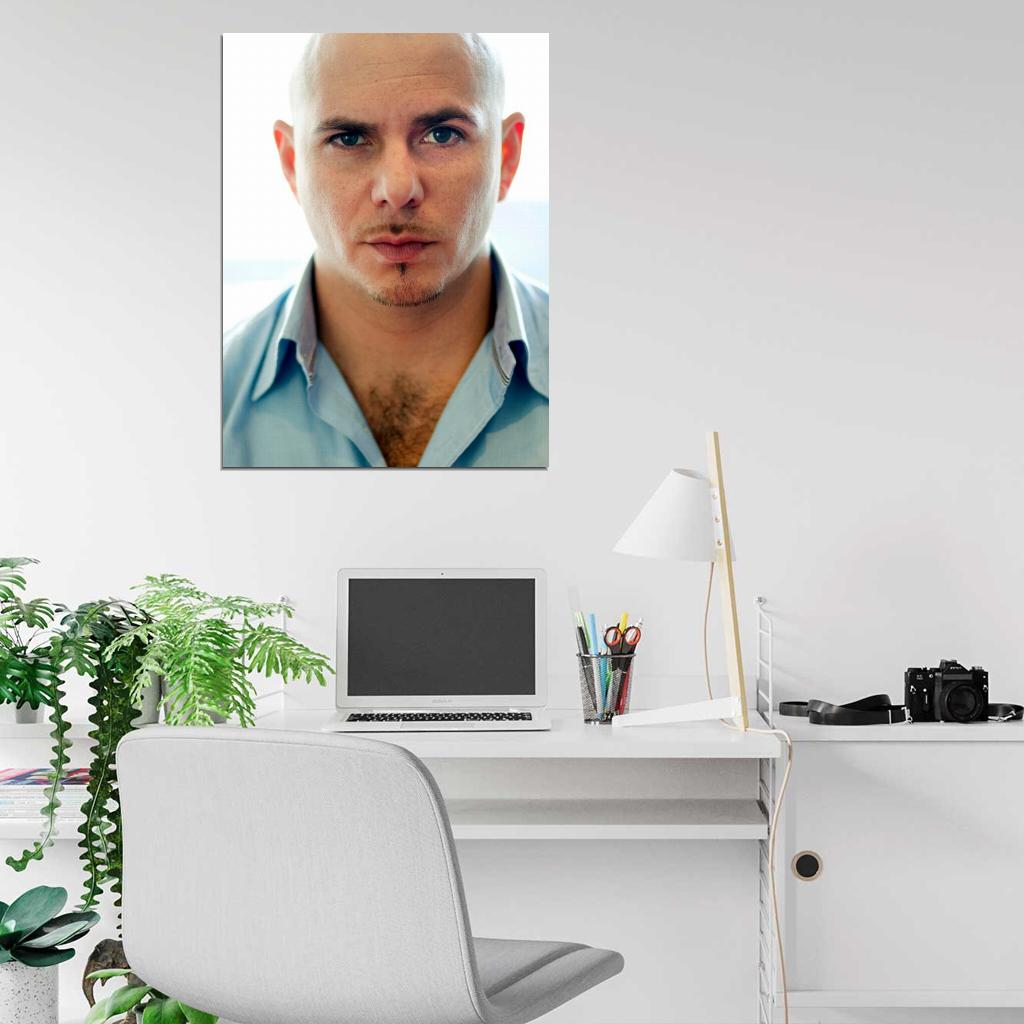 Pitbull Incredible Handsome Music Artist Singer Wall Art Print Poster