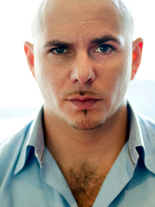 Pitbull Incredible Handsome Music Artist Singer Wall Art Print Poster