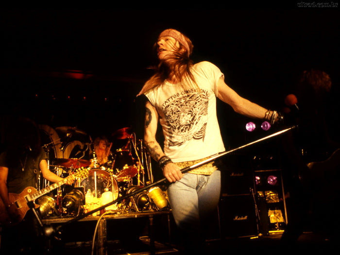 Guns n' Roses Retro Axl Rose Microphone Stage Rock Wall Art Print Poster