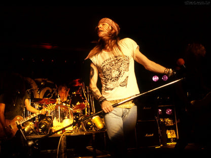 Guns n' Roses Retro Axl Rose Microphone Stage Rock Wall Art Print Poster