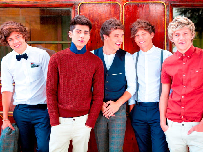 One Direction Harry Styles Zayn Malik Liam Payne Louis Wall Art Print Poster