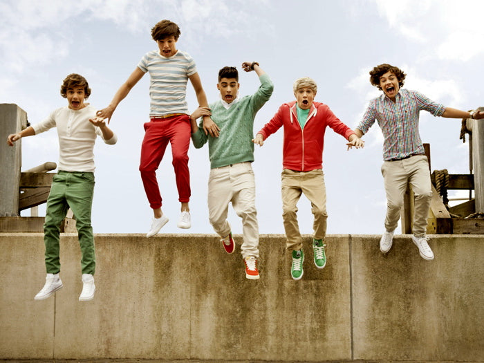 One Direction Amazing Liam Louis Zayn Niall Harry Band Wall Art Print Poster