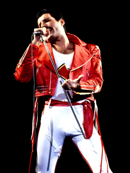 Queen Retro Stage Freddie Mercury Singing Rock Band Wall Art Print Poster