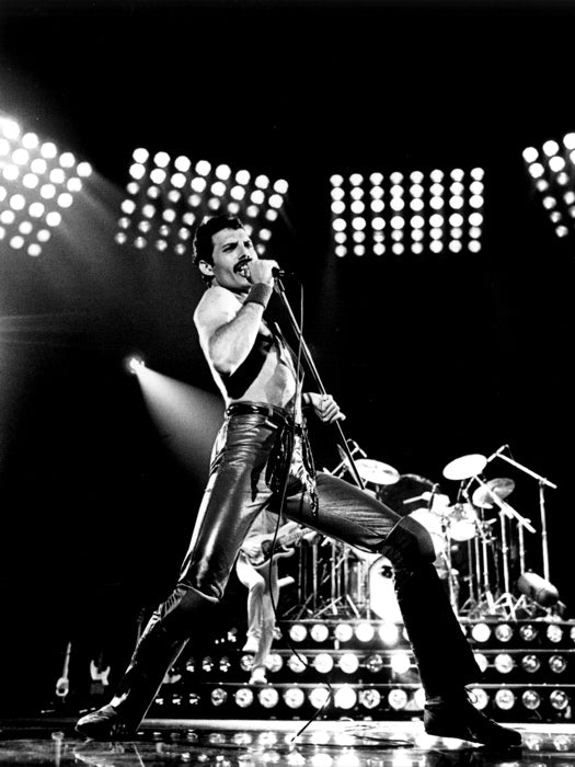 Queen Rare BW Freddie Mercury Microphone Rock Band Wall Art Print Poster