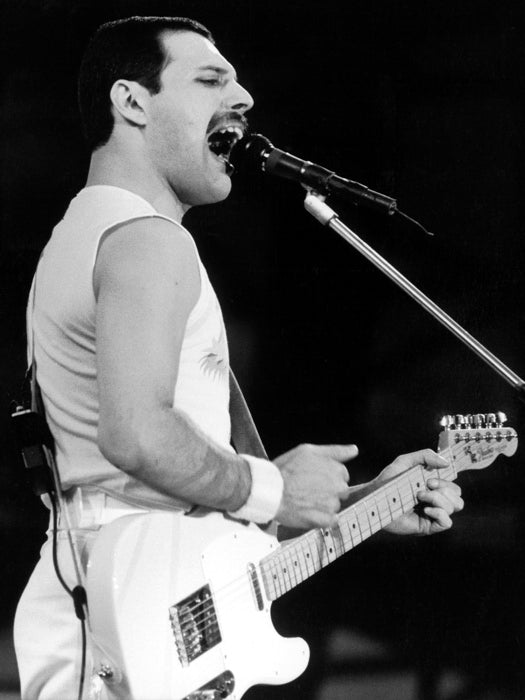 Queen Awesome BW Rare Freddie Mercury Guitar Rock Band Wall Art Print Poster