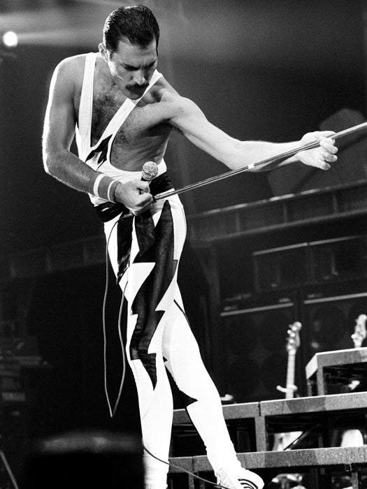 Queen Amazing BW Freddie Mercury Microphone Rock Band Wall Art Print Poster