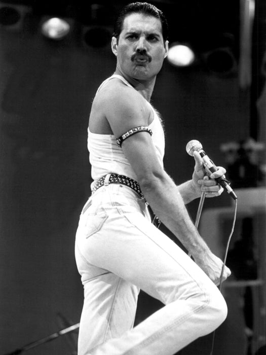 Queen Freddie Mercury Signature Move Microphone Band Wall Art Print Poster