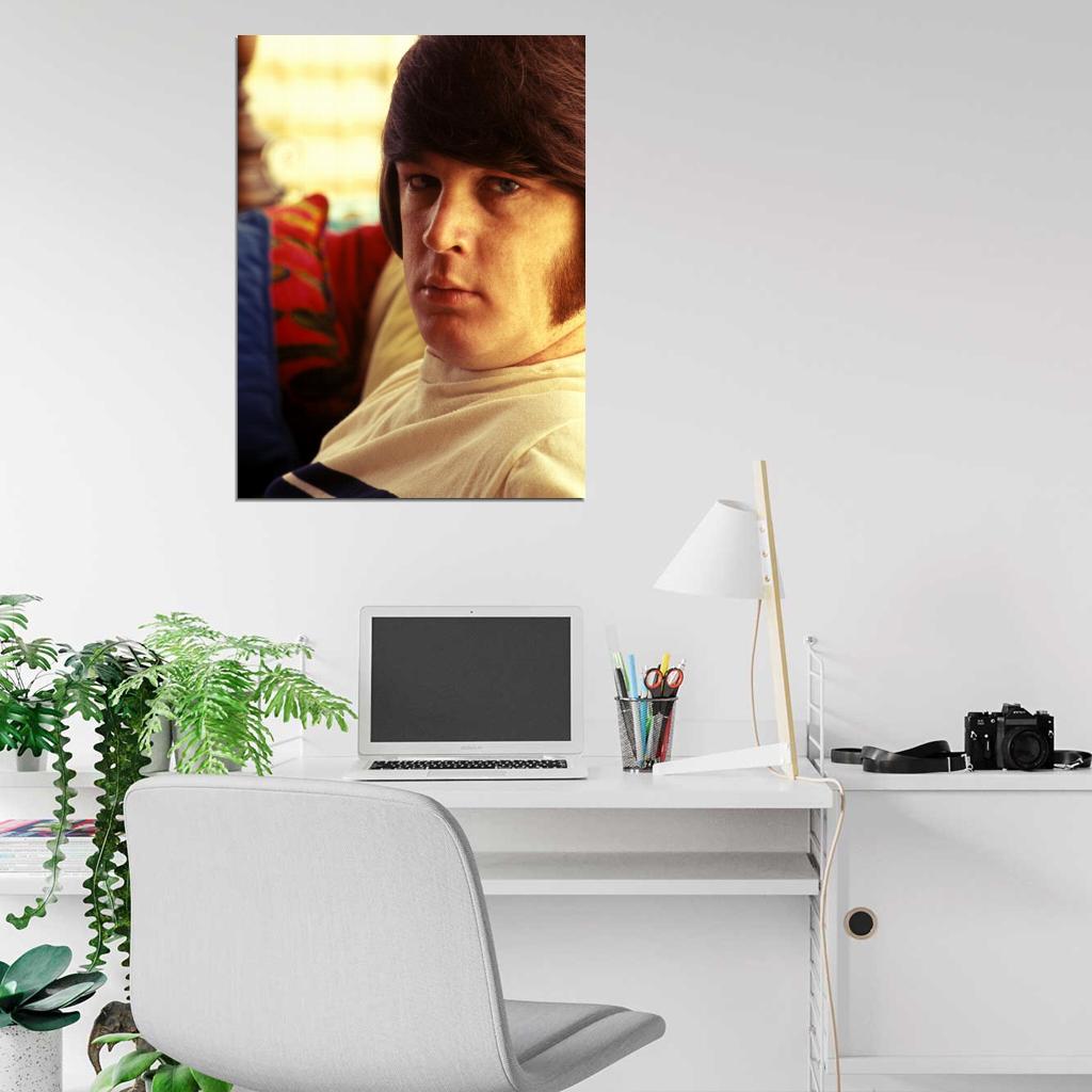 The Beach Boys Awesome Brian Wilson Portrait Rock Band Wall Art Print Poster