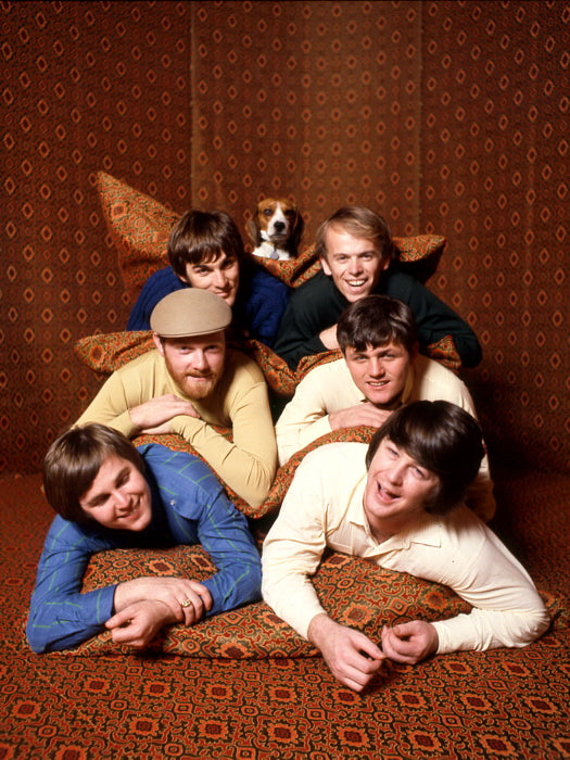 The Beach Boys Fun Retro Dennis Al Jardine Mike Love Wall Art Print Poster