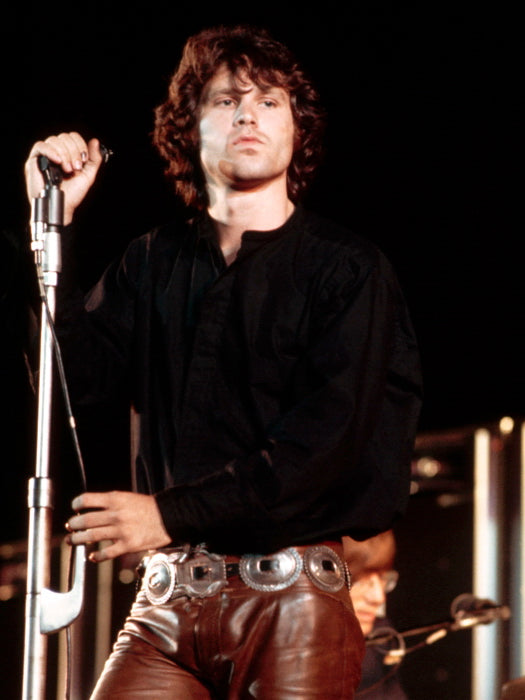 The Doors Great Jim Morrison Rare Microphone Rock Band Wall Art Print Poster