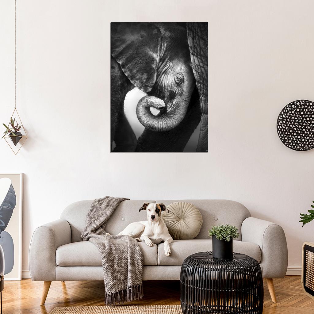 Baby Elephant Animal Nature BW Wall Art Print Poster