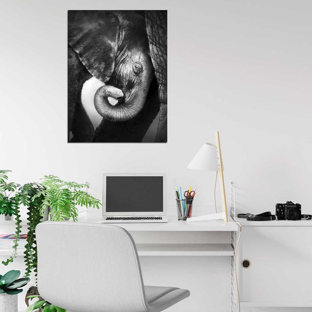 Baby Elephant Animal Nature BW Wall Art Print Poster