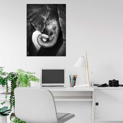 Baby Elephant Animal Nature BW Wall Art Print Poster