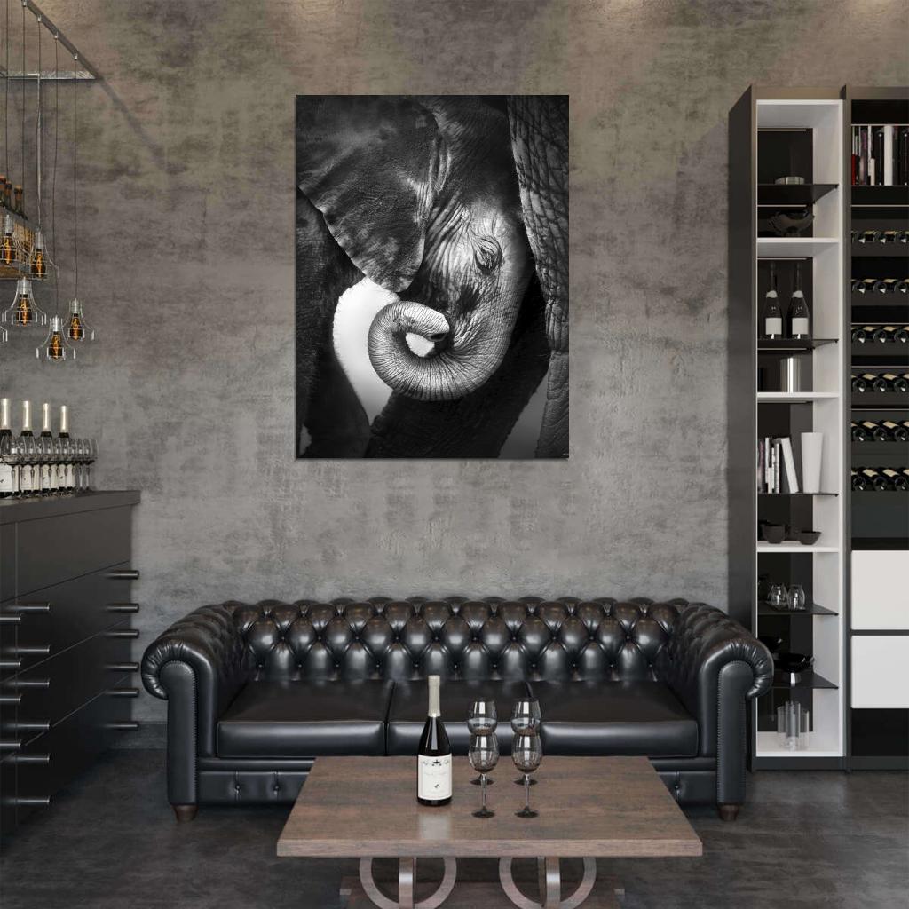 Baby Elephant Animal Nature BW Wall Art Print Poster