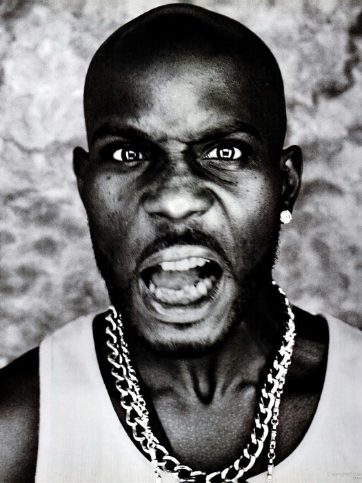 DMX Amazing Cool Portrait Rap Hip Hop Singer Wall Art Print Poster