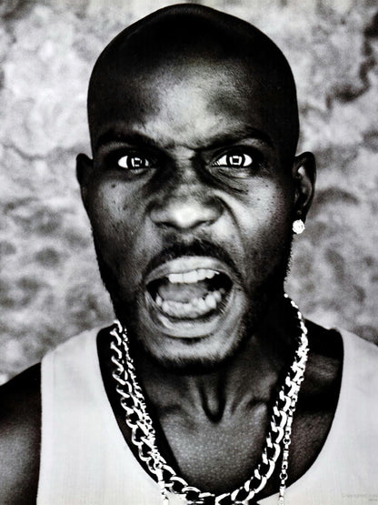 DMX Amazing Cool Portrait Rap Hip Hop Singer Wall Art Print Poster