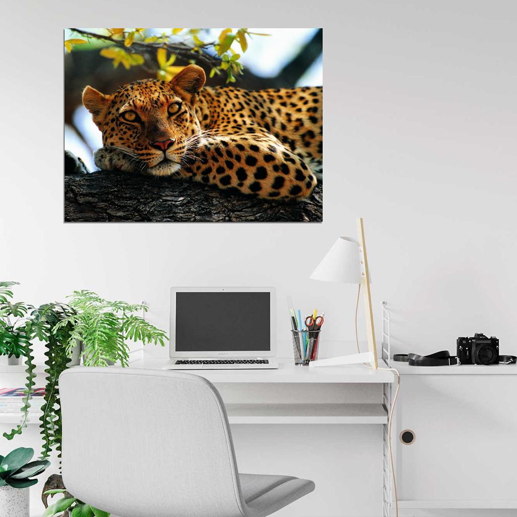 Leopard In A Tree Animal Nature Wall Art Print Poster