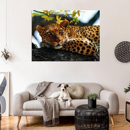 Leopard In A Tree Animal Nature Wall Art Print Poster