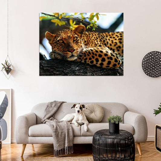 Leopard In A Tree Animal Nature Wall Art Print Poster