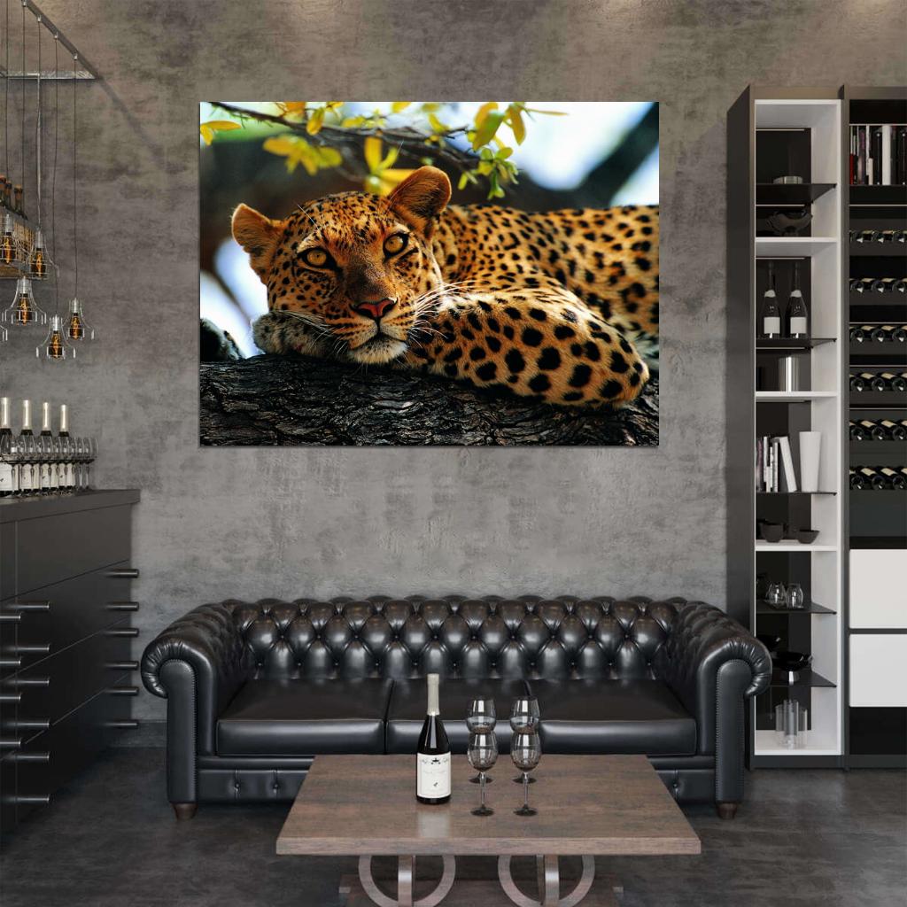 Leopard In A Tree Animal Nature Wall Art Print Poster
