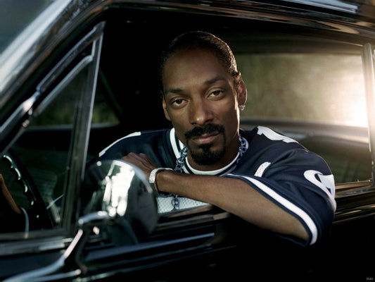 Snoop Dogg Gangsta Rap Hip Hop Music Singer Wall Art Print Poster