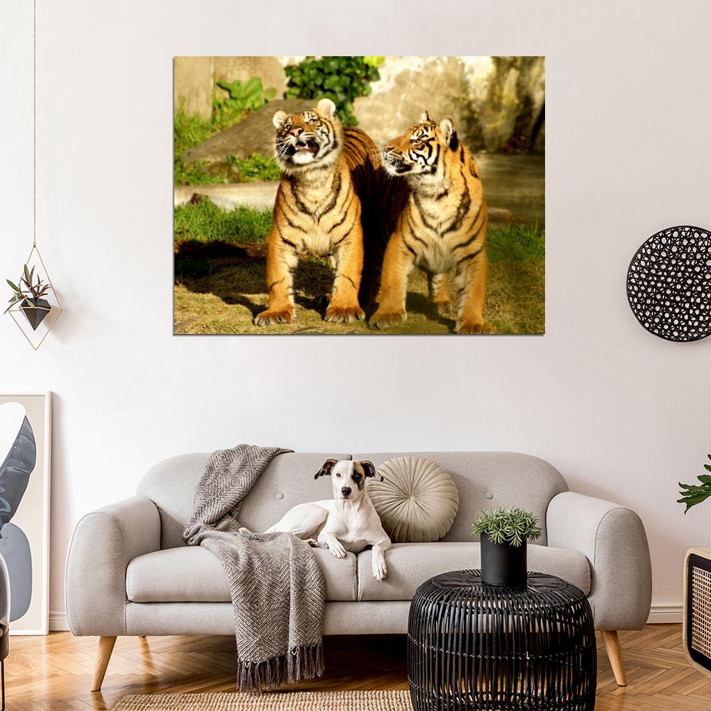 Two Cute Baby Funny Tiger Animal Nature Wall Art Print Poster