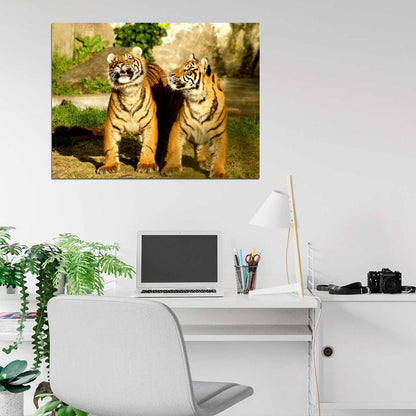 Two Cute Baby Funny Tiger Animal Nature Wall Art Print Poster