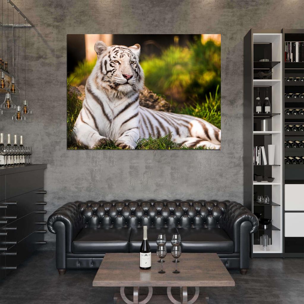 White Tiger Beautiful Animal Nature Wall Art Print Poster