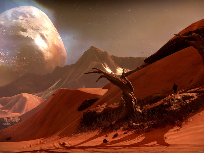 Destiny Mars Video Game Art Wall Art Print Poster