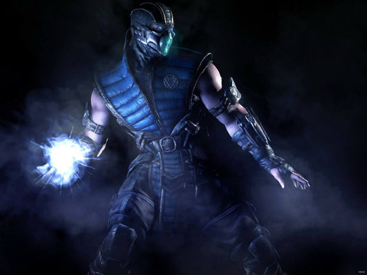 Mortal Kombat X Sub-Zero Awesome Video Game Wall Art Print Poster