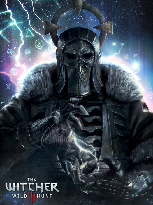 The Witcher 3 Wild Hunt Generals Awesome Game Wall Art Print Poster