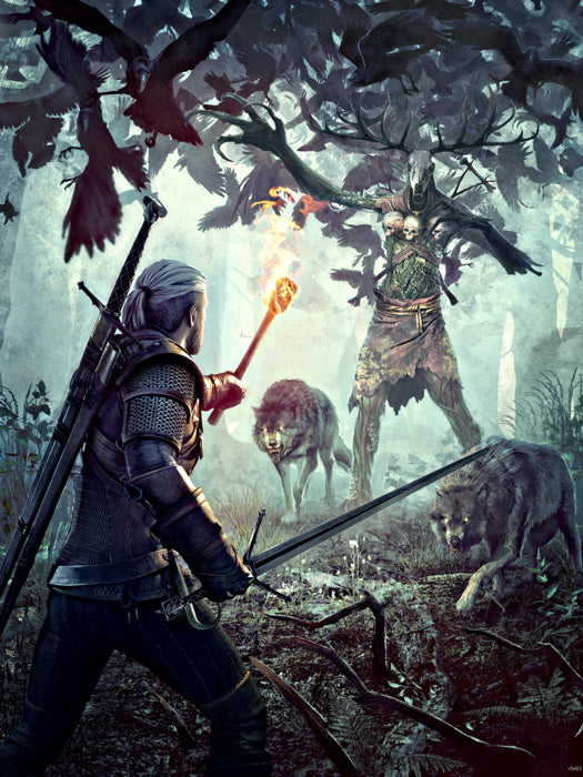 The Witcher 3 Wild Hunt Fight Awesome Game Wall Art Print Poster