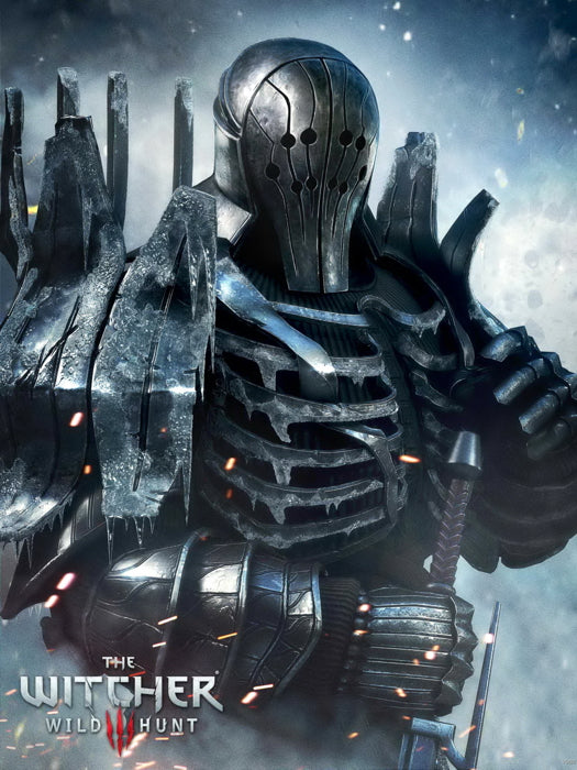 The Witcher 3 Wild Hunt Video Game Wall Art Print Poster