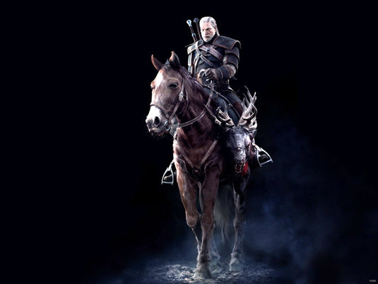 The Witcher 3 Wild Hunt Geralt Video Game Wall Art Print Poster