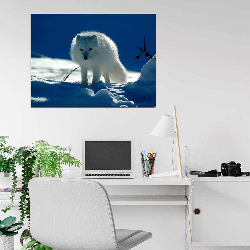 Arctic Cute Fox White Snow Wall Art Print Poster