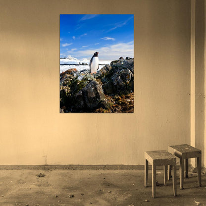 Penguin Antarctica Landscape Nature Wall Art Print Poster