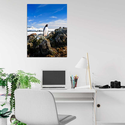 Penguin Antarctica Landscape Nature Wall Art Print Poster