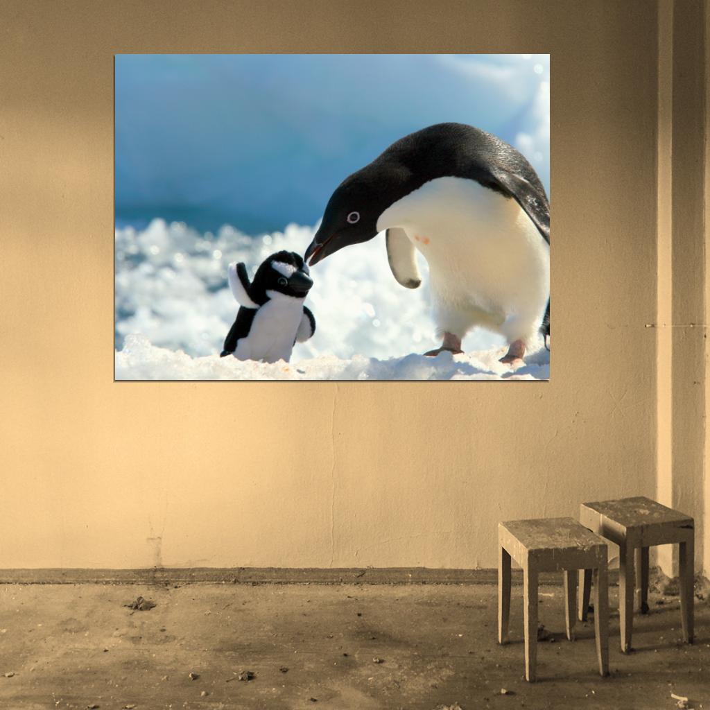 Penguin Antarctica Toy Cute Nature Wall Art Print Poster