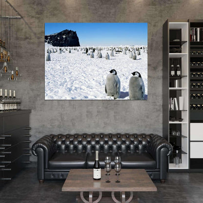 Antarctica Penguins Cute Snow Nature Wall Art Print Poster